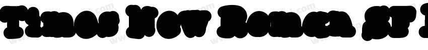 Times New Roman SF Bold字体转换